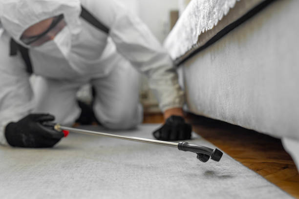 Professional Cockroach Control technician working in East Grand Rapids, MI